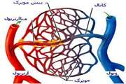 کلاس آموزشی بیماری های عروق در بیمارستان بهارلو برگزار شد